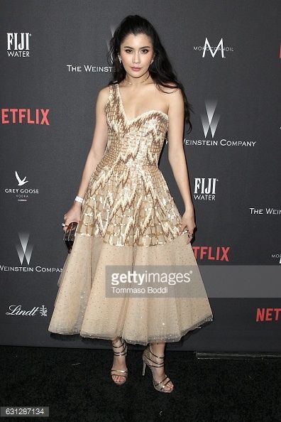 attends The Weinstein Company and Netflix Golden Globe Party, presented with FIJI Water, Grey Goose Vodka, Lindt Chocolate, and Moroccanoil at The Beverly Hilton Hotel on January 8, 2017 in Beverly Hills, California.