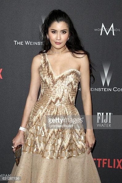 attends The Weinstein Company and Netflix Golden Globe Party, presented with FIJI Water, Grey Goose Vodka, Lindt Chocolate, and Moroccanoil at The Beverly Hilton Hotel on January 8, 2017 in Beverly Hills, California.